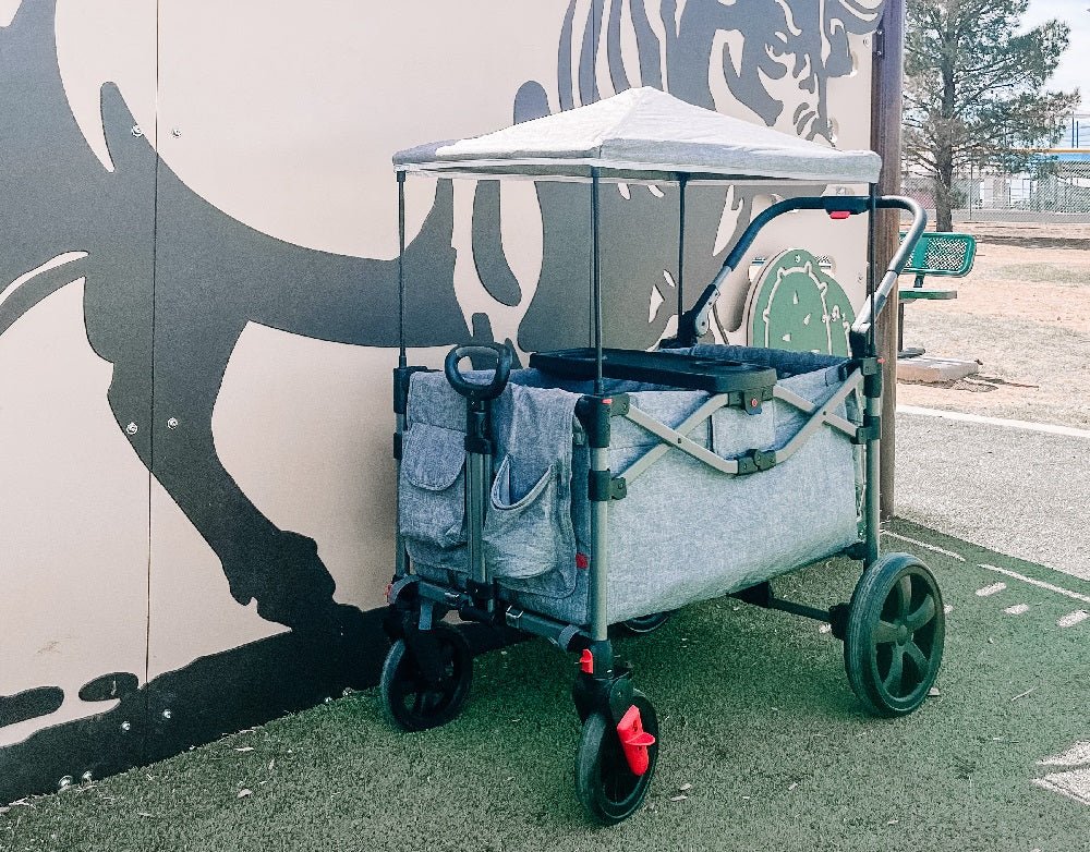 All terrain Wagon Stroller Reviewed By Kid Travel - EVER ADVANCED