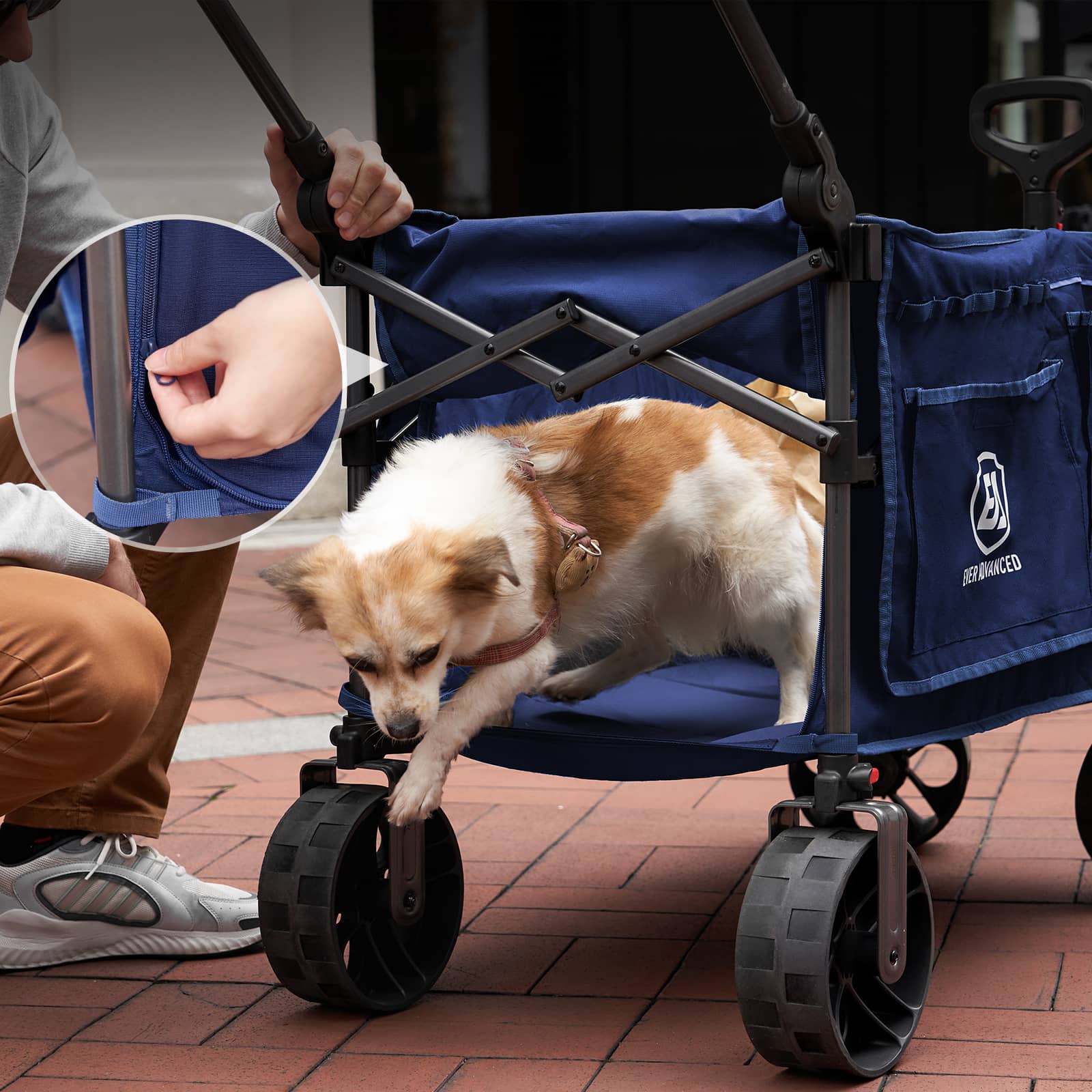 Folding Camping Push Wagon - EVER ADVANCEDBlue