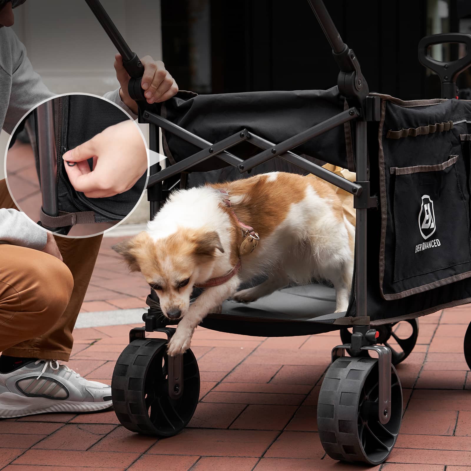 Folding Camping Push Wagon - EVER ADVANCEDBlack